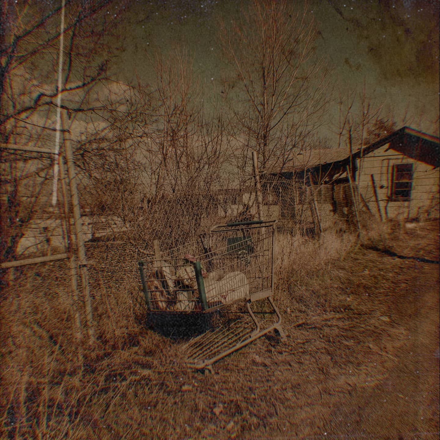 111483-157964398_270512941308838_4617043622968114710_o